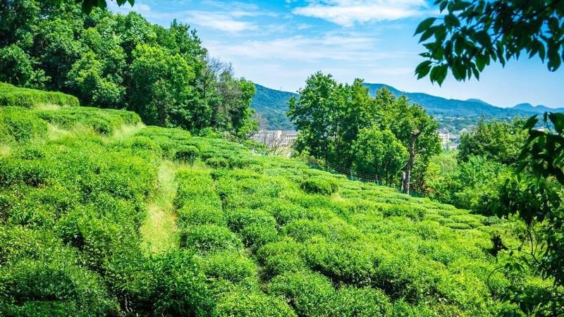 Meilu Legend Hotel Hangzhou Zewnętrze zdjęcie